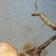 Illustration for article titled Heres How You Can Replace Your Rusty Brake Lines